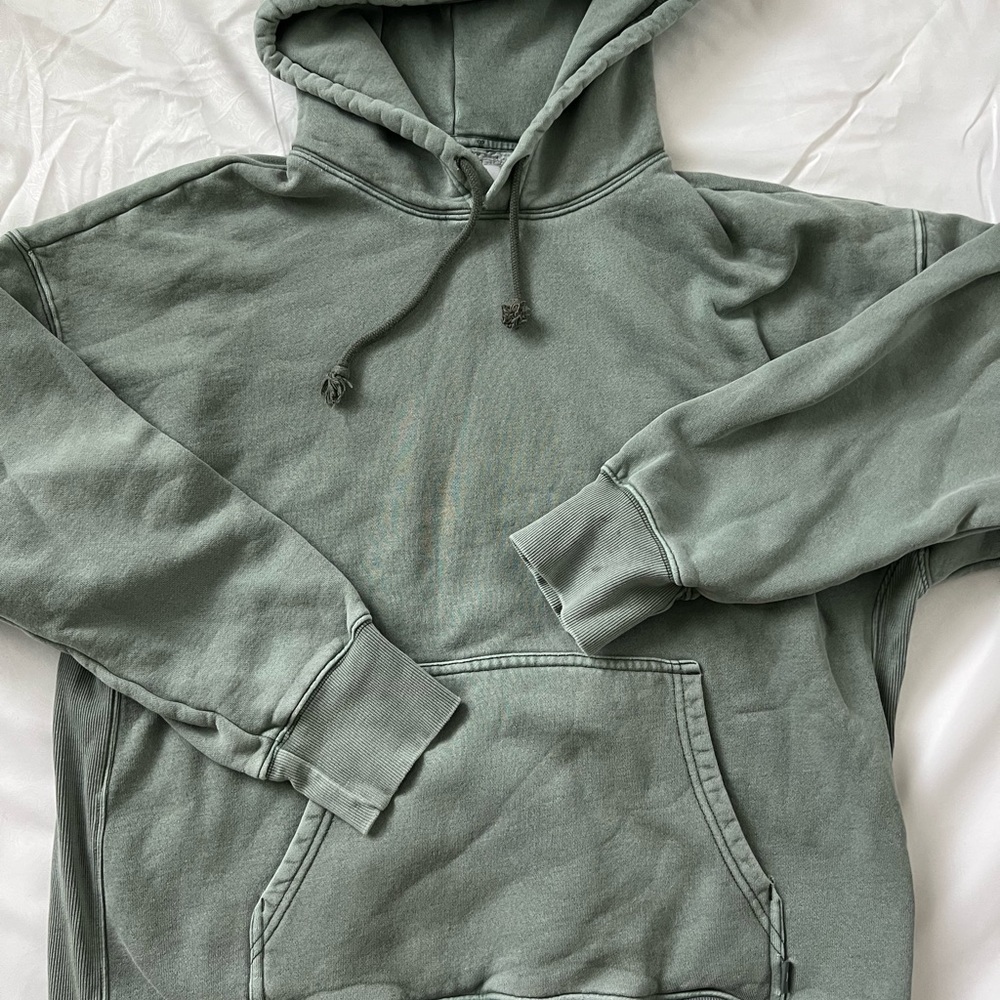 Aritzia hoodie